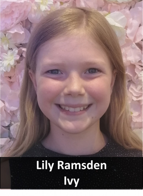Lily-R